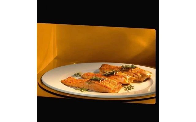 Waeco Dometic OG 2000 Einbaugasofen Mit Grill Und Drehteller 20 Liter 4 Waeco Dometic OG 2000 Einbaugasofen Mit Grill Und Drehteller 20 Liter – Bild 2