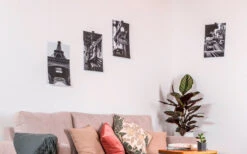 Silwy® Flex Magnethaken Inkl. Metall-Nano-Gel-Pads 5 Cm 8-tlg. Blau -Campingkochgeschirr Geschäft 336857 2526568